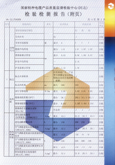 檢驗報告