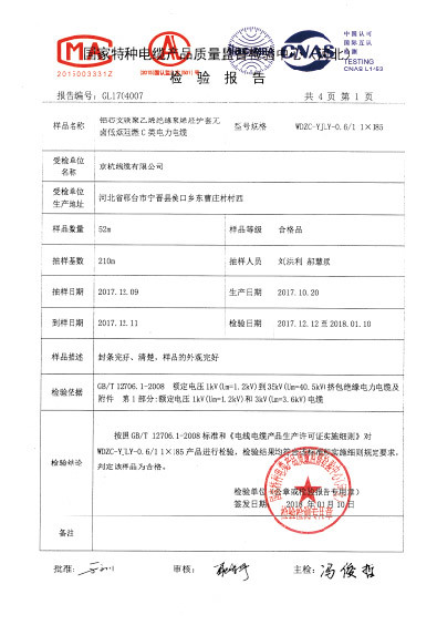 檢驗報告