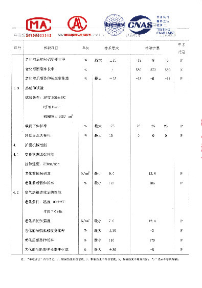 檢驗報告