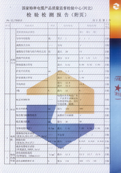 檢驗報告