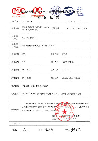 檢驗報告