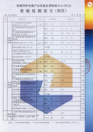 檢驗報告