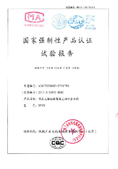 檢驗報告