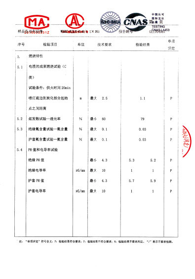 檢驗報告