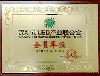 Member unit