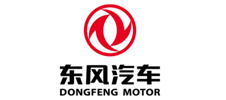 Dongfeng Motor Dongfeng Motor