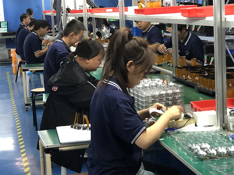 Company environment