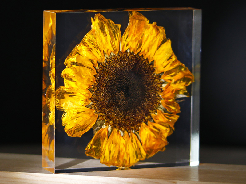 Sunflower paperweight