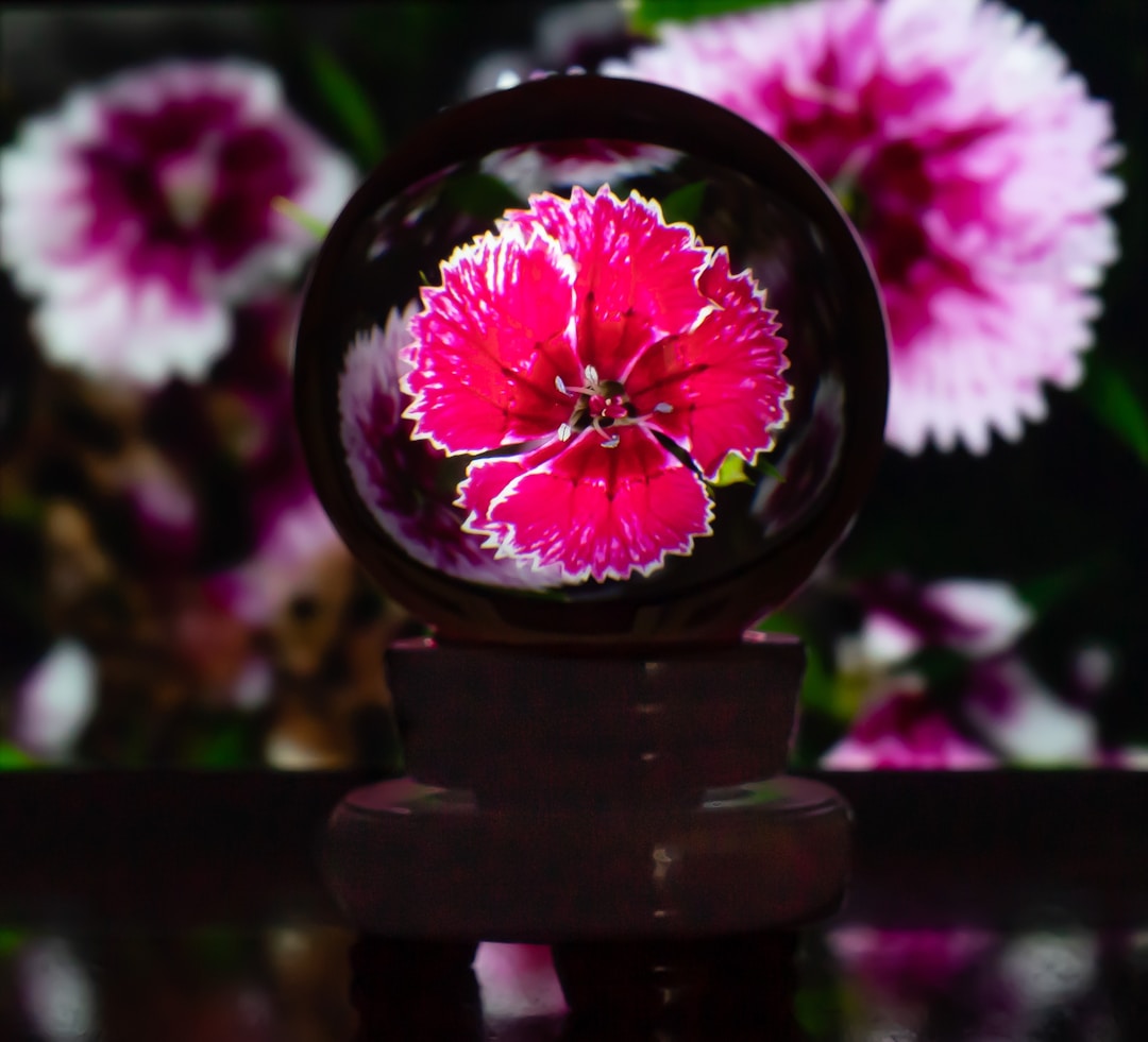Collectible Treasures: The Enduring Value of Antique Paperweights Collectible Treasures: The Enduring Value of Antique Paperweights