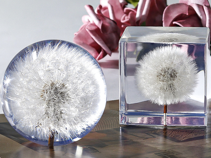 Dandelion paperweight