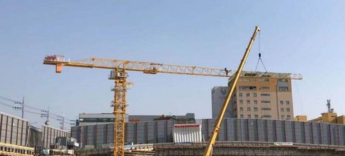 Distribuidor de Raimondi en Corea importa grúa torre ZTM