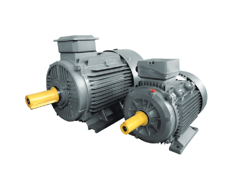 SSV series variable frequency permanent magnet motor (IEC standard)