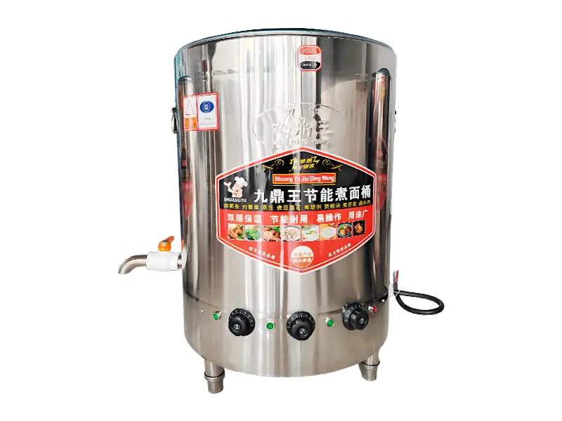 Electric noodle cooker