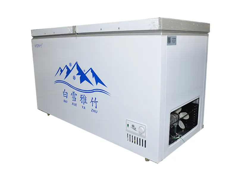 Horizontal Freezer