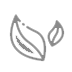 Environmental Business (Carbon Neutral)
