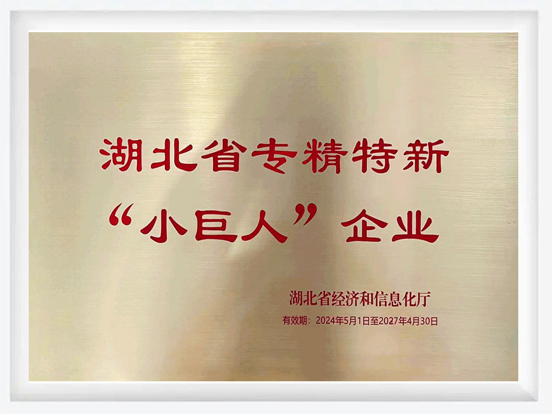 湖北省專精特新 “小巨人”企業(yè)