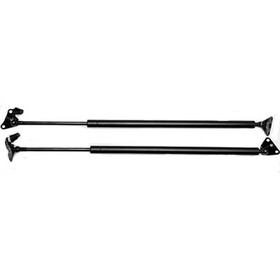 Hot Sale Automobile Gas Spring for Car Door