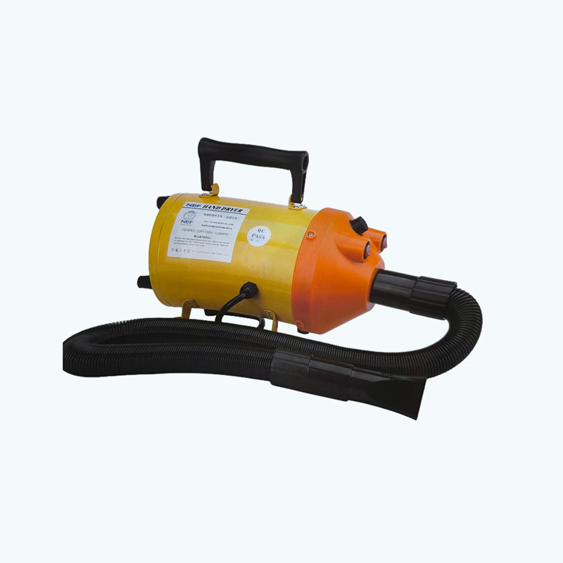 Hair Dryer
