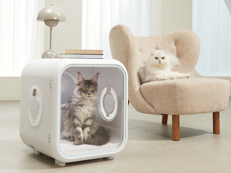 Introducing the Pet Drying Oven: A Game Changer for Pet Owners