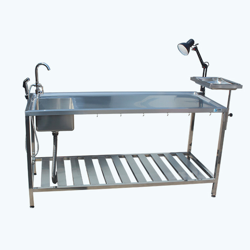 Simple Dissection Table