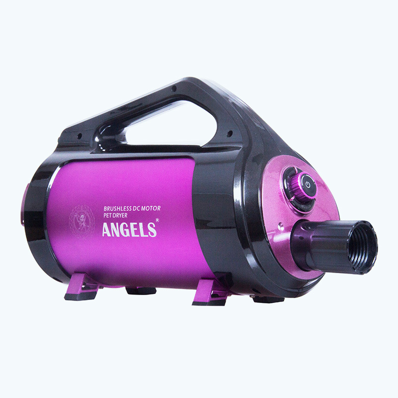 Brushless DC Hair Dryer (The world's first Hair dryer without a life span limit)