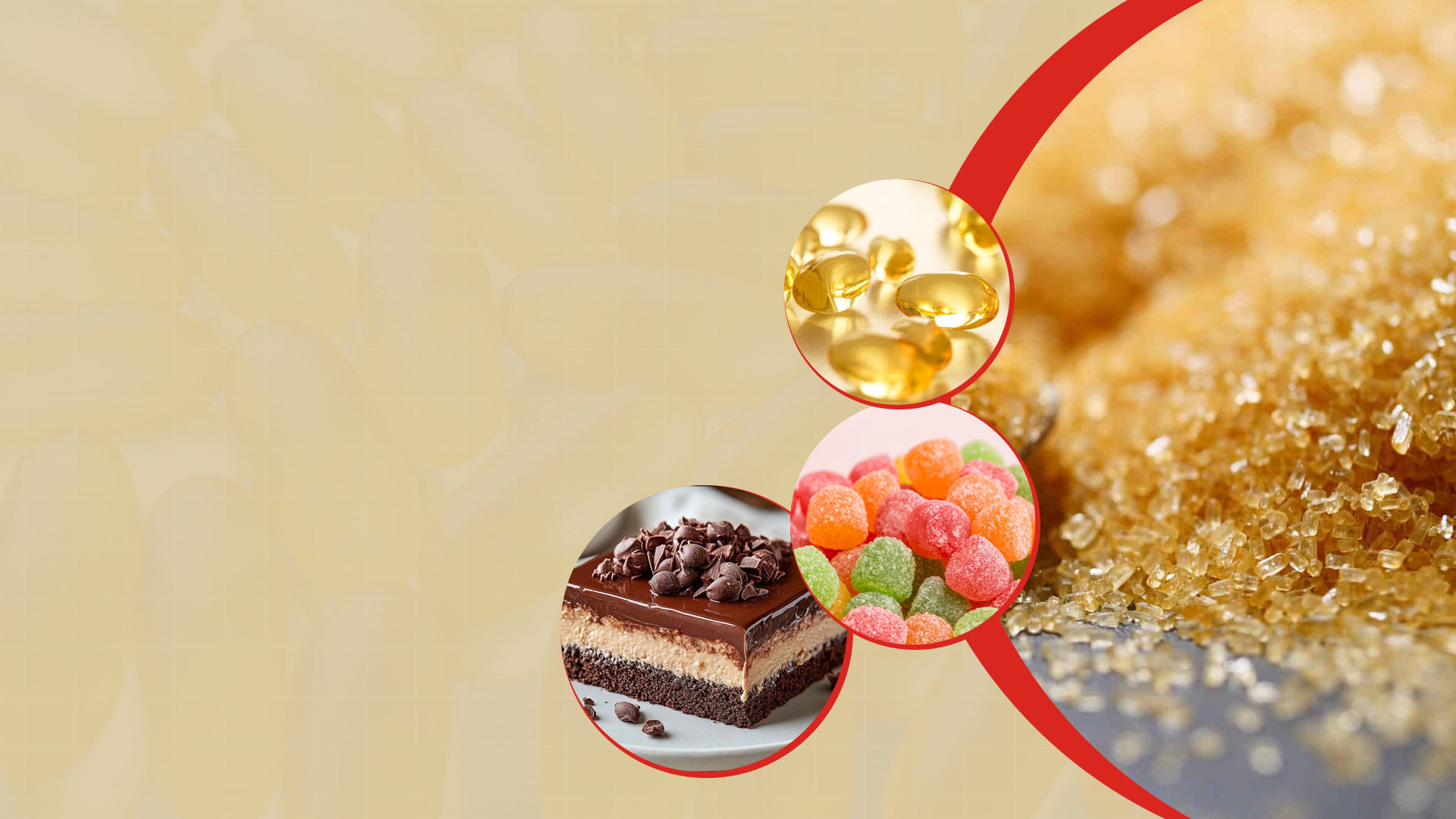 Hebei CDA Gelatin Co., Ltd