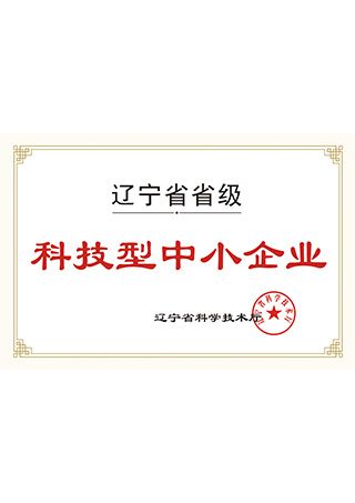 辽宁省省级科技型中小企业