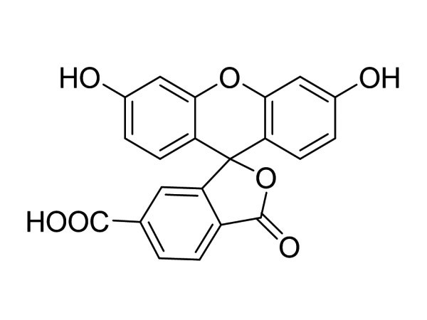 6-Carboxy Fluorescein; (6-FAM)