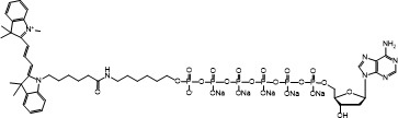3’-O-Phosphorylated dATP