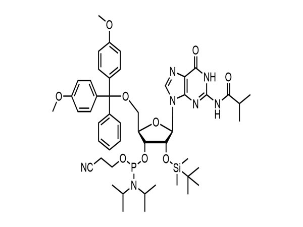 N2-iBu-5'-O-DMT-2'-O-TBDMS-G-CE Phosphoramidite
