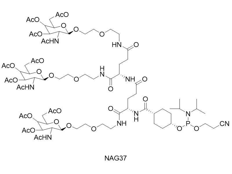 NAG37