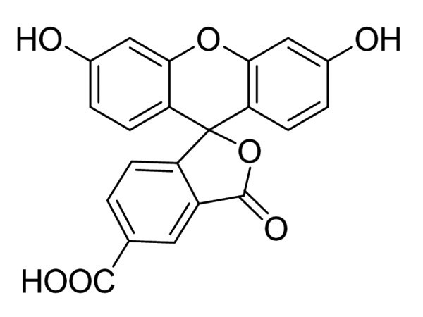 5-Carboxy Fluorescein; (5-FAM)