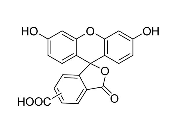 5(6)Carboxy fluorescein; (5(6)-FAM)