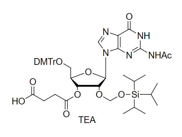 5'-O-DMTr-2'-O-TOM-G(Ac) succinate