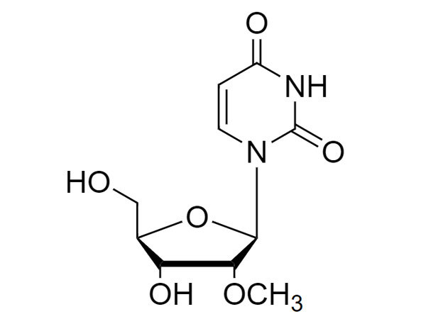 2'-OME-rU