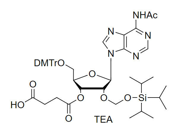 5'-O-DMTr-2'-O-TOM-A(Ac) succinate