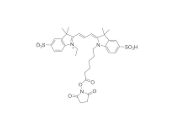 Cy3-SE: Cy3 NHS Ester