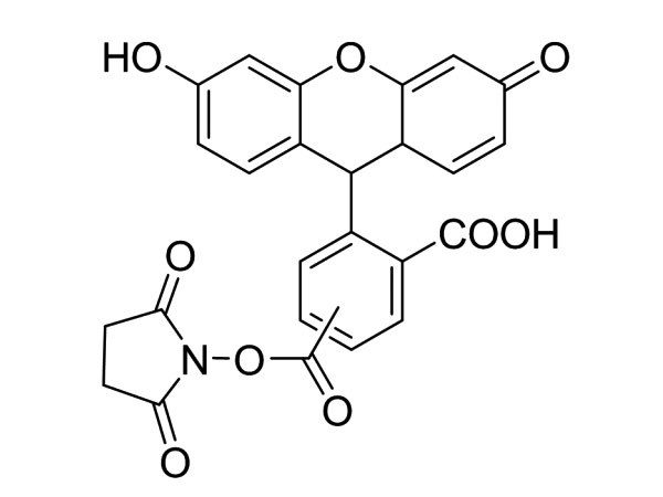 5(6)-FAM, SE