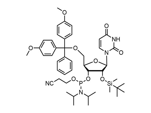 5'-O-DMT-2'-O-TBDMS-U-CE Phosphoramidite