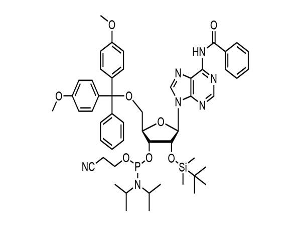 N6-Bz-5'-O-DMT-2'-O-TBDMS-A-CE Phosphoramidite