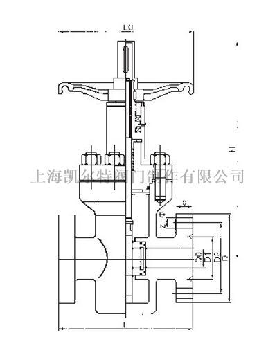 波蘭連接高壓平板閘閥