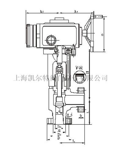 電動角式截止節(jié)流閥