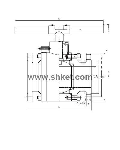 Forged Trunnion-mounted Ball Valve