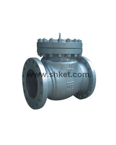 ANSI Check Valve