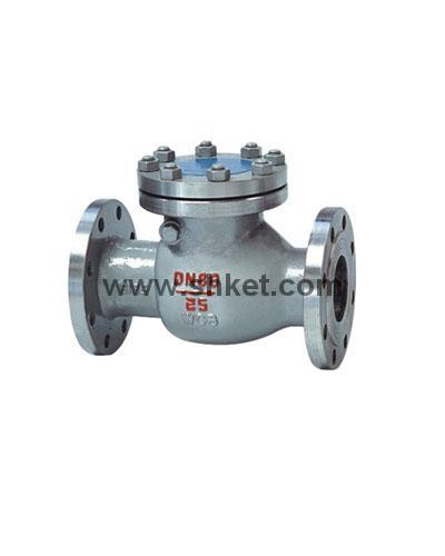 Swing Check Valve