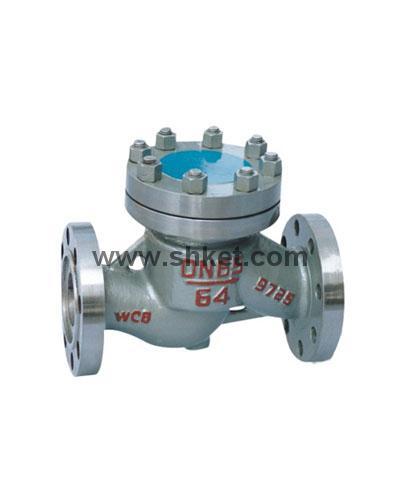 Lift Check Valve