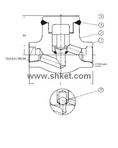 Forged Check Valve