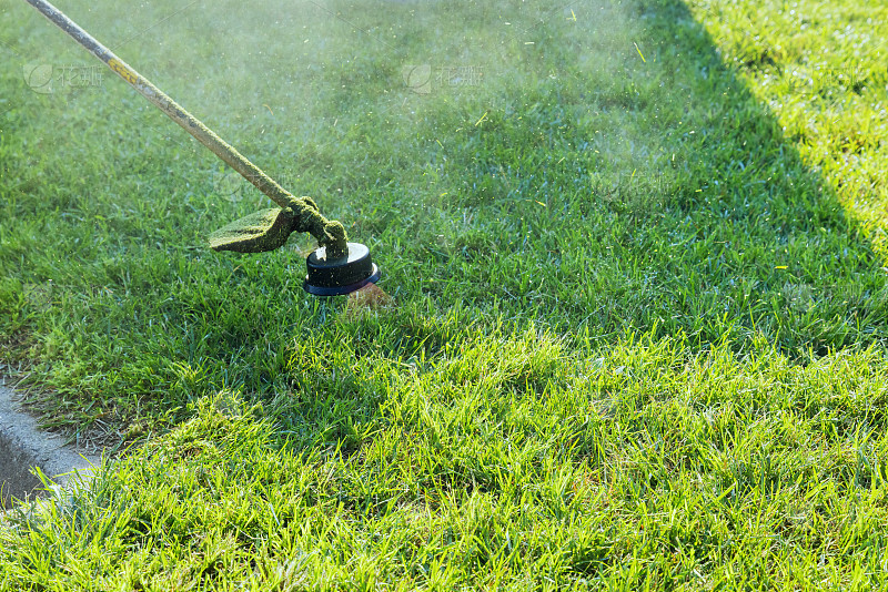 Demanda global por máquinas de jardinagem continua crescimento estável