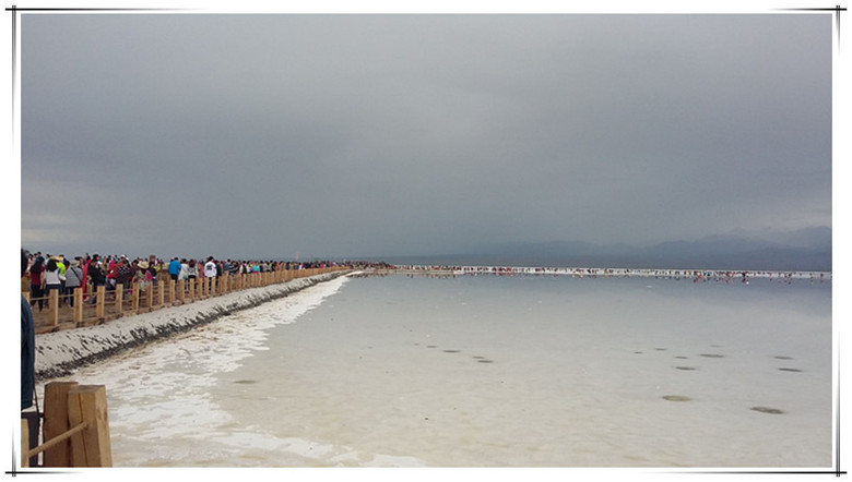 The company's Renhou organizes staff travel during the summer vacation and a five-day tour of Qinghai Lake