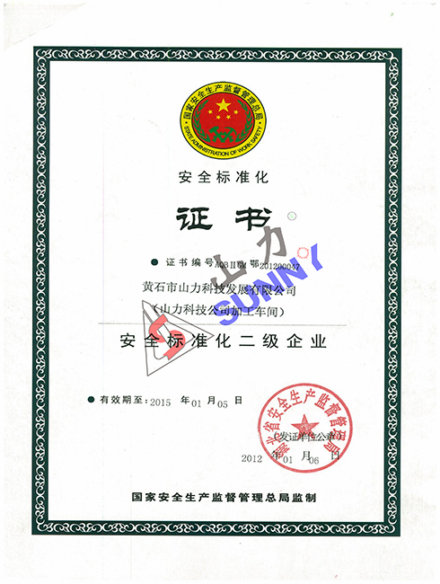 安全生产标准化二级证书